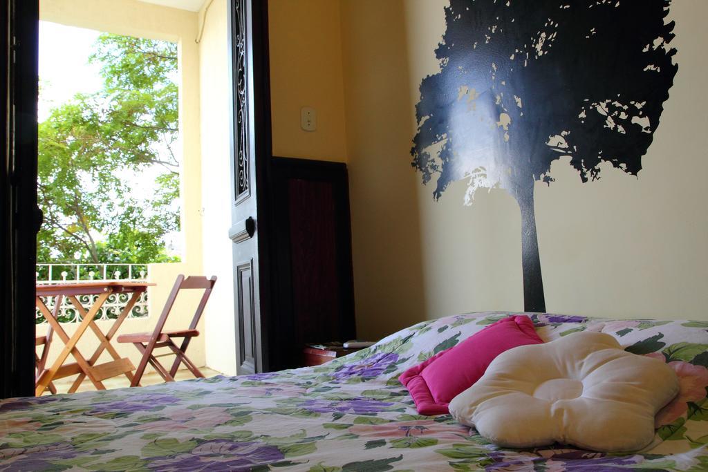 Auberge de jeunesse Rio Forest